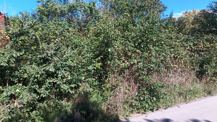Előtte